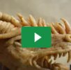 Drachenkopf basteln / HowTo make a dragon’s head – Erza Cosplay