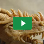 Drachenkopf basteln / HowTo make a dragon's head - Erza Cosplay 3
